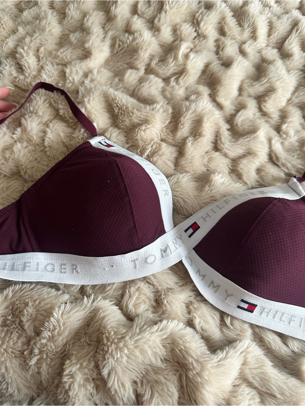 Tommy Hilfiger Deep Plum Logo Bralette with White Band
